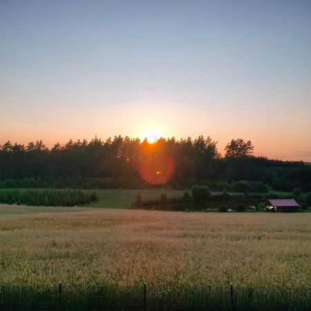 Agroturystyka U Kasi Suryty Esterno foto
