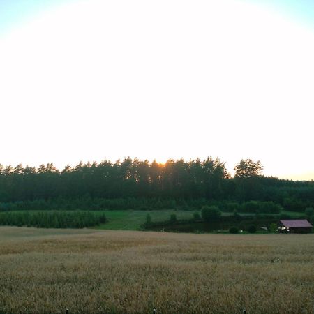 Agroturystyka U Kasi Suryty Esterno foto