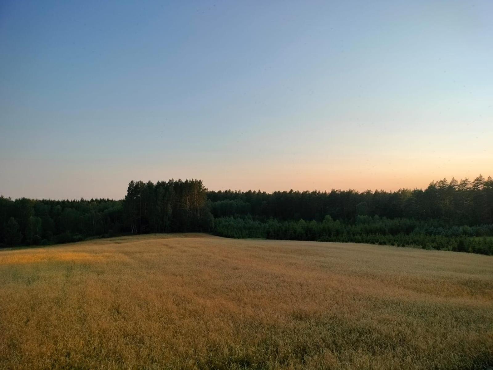 Agroturystyka U Kasi Suryty Esterno foto